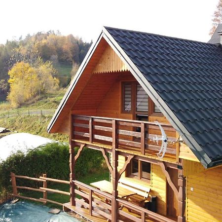 Domek Dzikusowka 1 Bieszczady Solina Polanczyk Zawoz Cisna Gorzanka Экстерьер фото